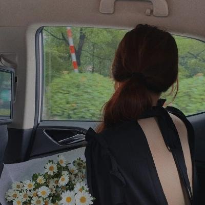 在布鲁日封面